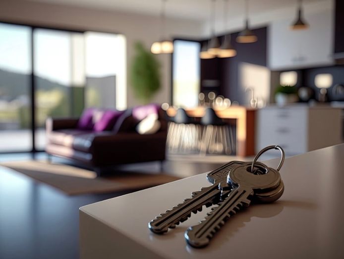 handyman-business-with-steady-existing-client-base-6