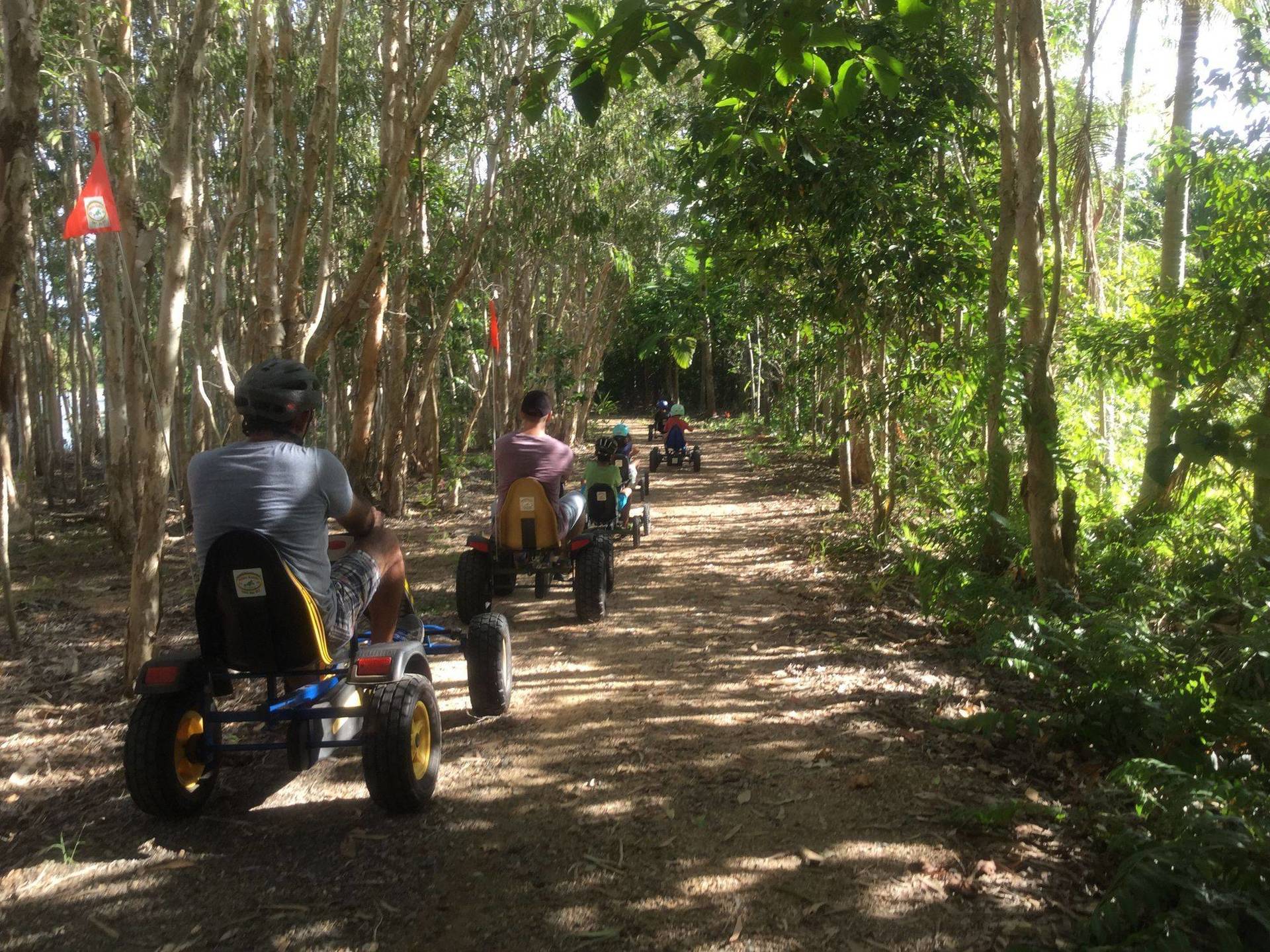 Hire of Commercial Pedal Go Karts Business for Sale in Cairns QLD, 4870