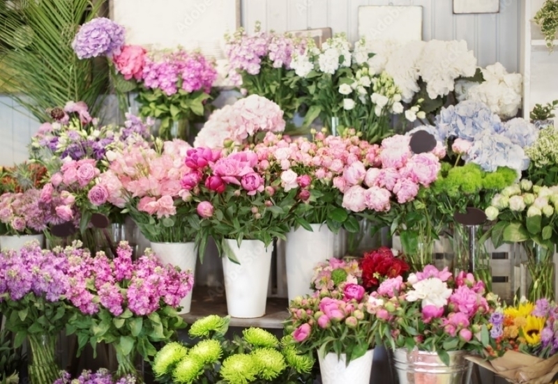 Reputable and profitable florist for sale North Gold Coast in Ormeau