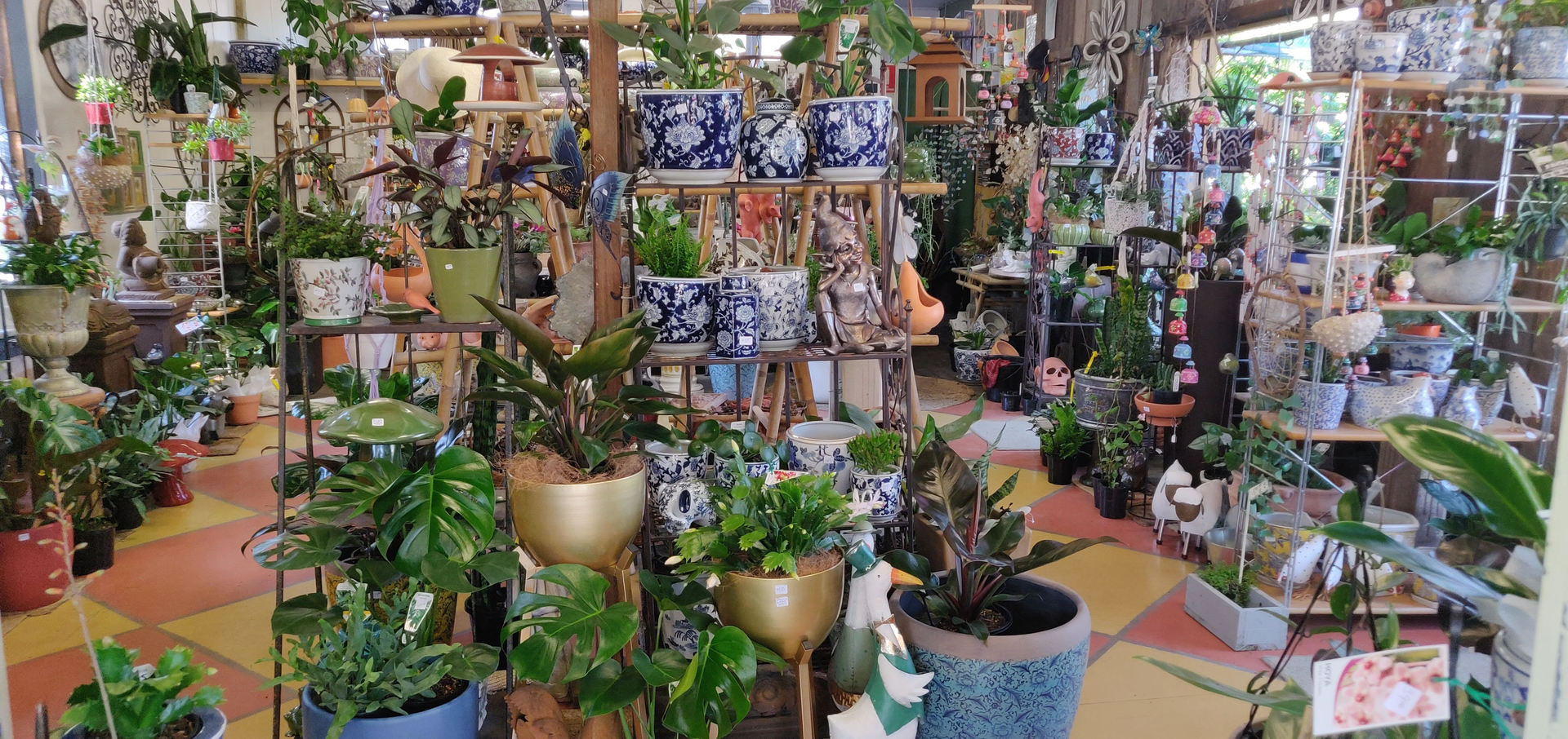 Mogo Nursery & Freehold for Sale! Amazing Potential for Further