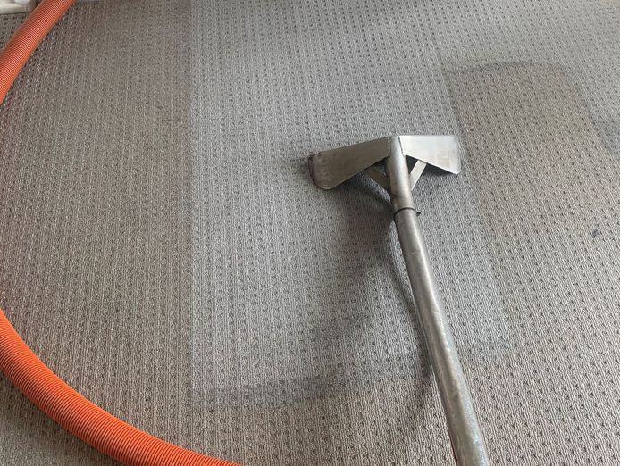 business-for-sale-boyne-carpet-cleaning-service-van-2