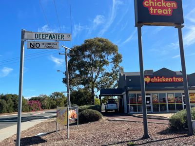 1st-time-on-seek-nor-very-easy-to-run-drive-thru-chicken-treat-for-239-000-1