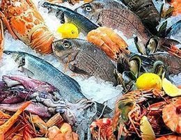 Ref: 2473, Seafood, Eastern Suburbs