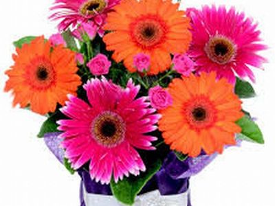 ref-3126-florist-gift-shop-blue-mountains-0