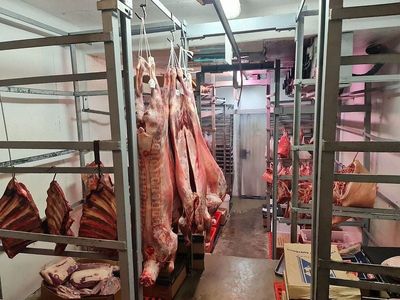 ref-3183-fire-sale-butcher-shop-inner-west-0