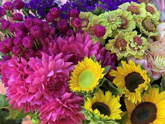 ref-3126-florist-gift-shop-blue-mountains-0