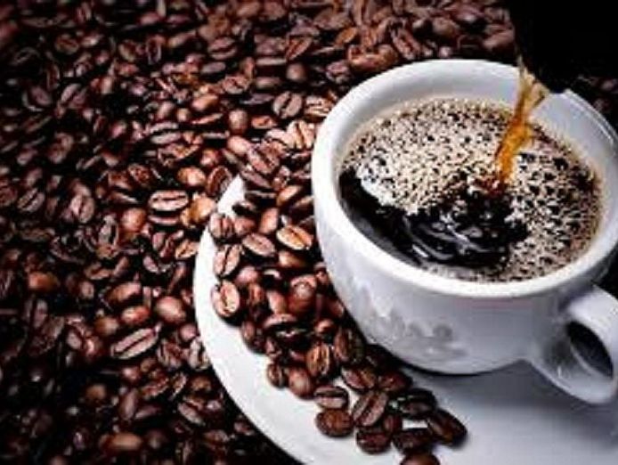 ref-3085-espresso-bar-sydney-cbd-0