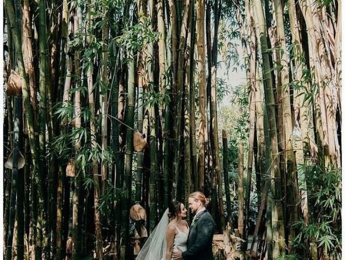 ref-3022-owners-willing-to-negotiate-reception-and-function-centre-3