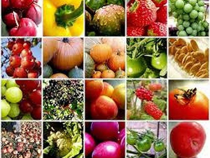 ref-2883-fruit-amp-veggies-processing-factory-amp-distribution-inner-west-0