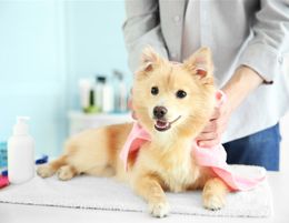 Well Known Pet Grooming near Doncaster – Ref: 17651