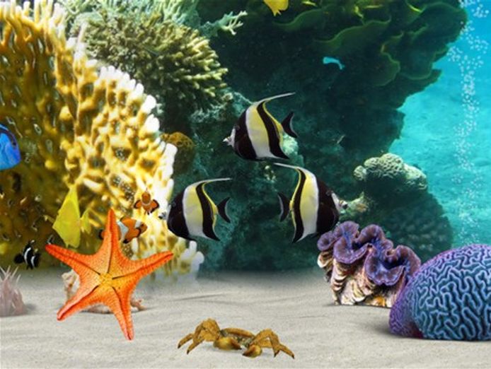 amazing-aquarium-business-in-the-eastern-area-ref-14358-0