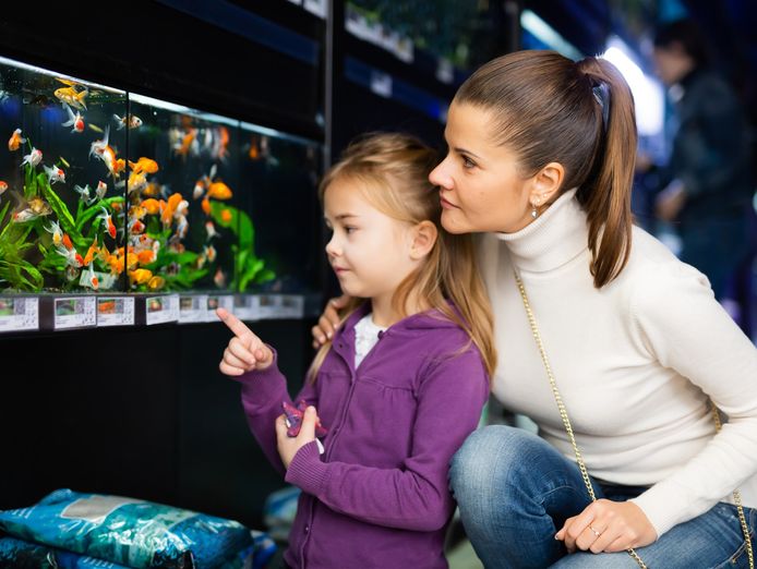 amazing-aquarium-business-in-the-eastern-south-area-ref-15957-0