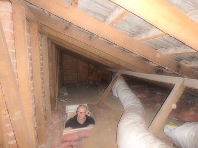 pre-purchase-building-and-pest-inspections-est-17-years-the-perfect-business-5