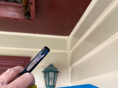 pre-purchase-building-and-pest-inspections-est-17-years-the-perfect-business-6