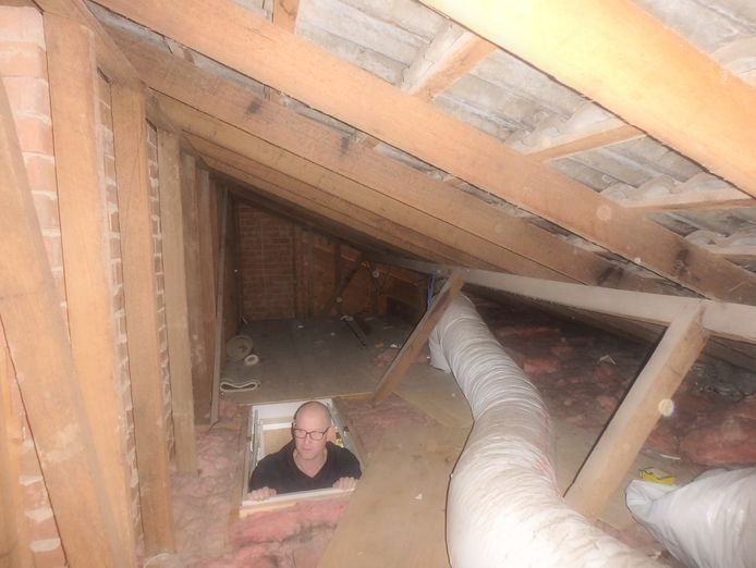 pre-purchase-building-and-pest-inspections-est-17-years-the-perfect-business-5