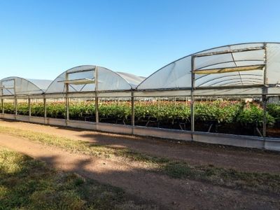 western-victoria-agricultural-farm-land-and-infrastructure-iwf2401-3