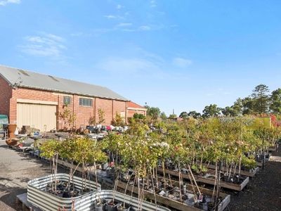 multiflora-nursery-colac-iwr2646-6