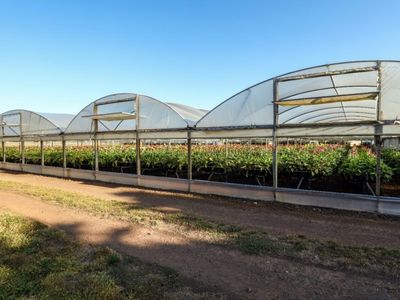 western-victoria-agricultural-farm-land-and-infrastructure-iwf2401-0