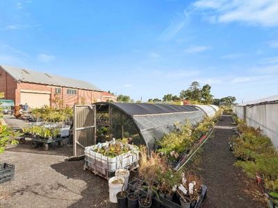multiflora-nursery-colac-iwr2646-7