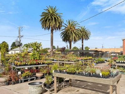 multiflora-nursery-colac-iwr2646-0