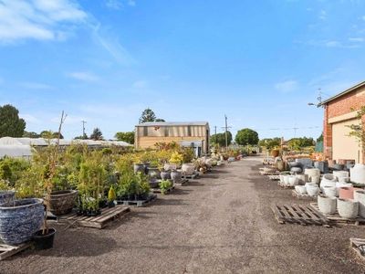 multiflora-nursery-colac-iwr2646-9