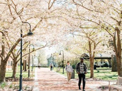 leasehold-available-for-ndis-or-srs-or-hostel-operator-njacs97-0