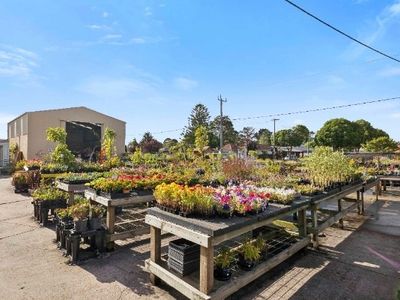 multiflora-nursery-colac-iwr2646-3