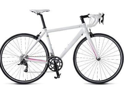bicycles-and-cycling-accessories-retail-business-glj2508-2