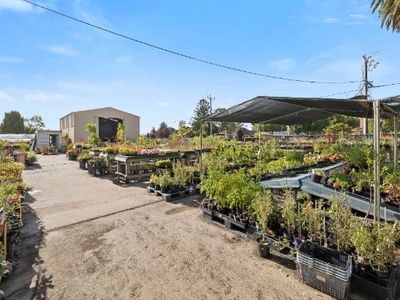 multiflora-nursery-colac-iwr2646-2