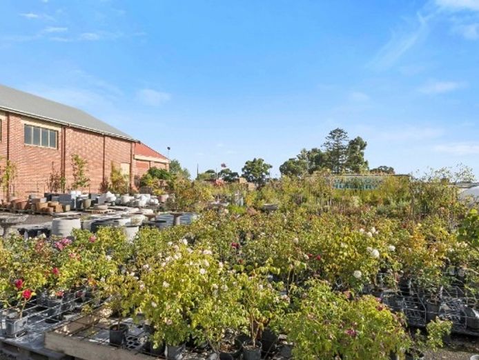 multiflora-nursery-colac-iwr2646-5