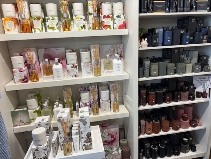 specialty-gifts-for-coastal-living-cs26126-4