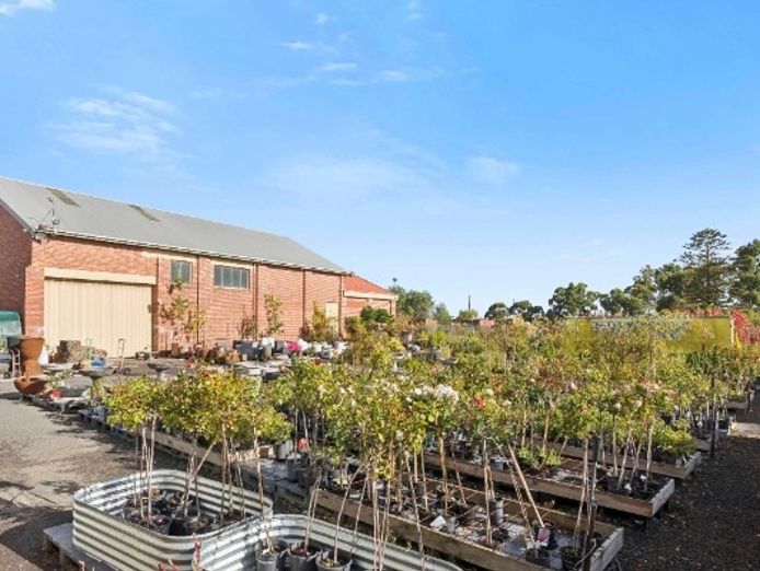 multiflora-nursery-colac-iwr2646-6