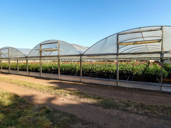 western-victoria-agricultural-farm-land-and-infrastructure-iwf2401-0