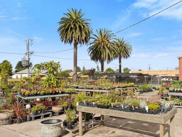 multiflora-nursery-colac-iwr2646-0