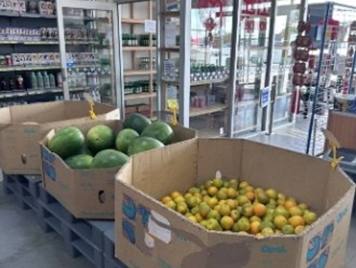 retail-grocery-business-glj2511-2