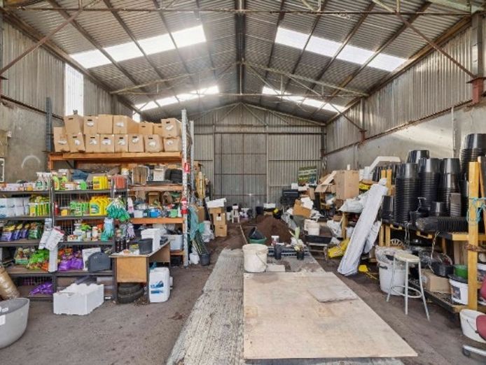 multiflora-nursery-colac-iwr2646-4