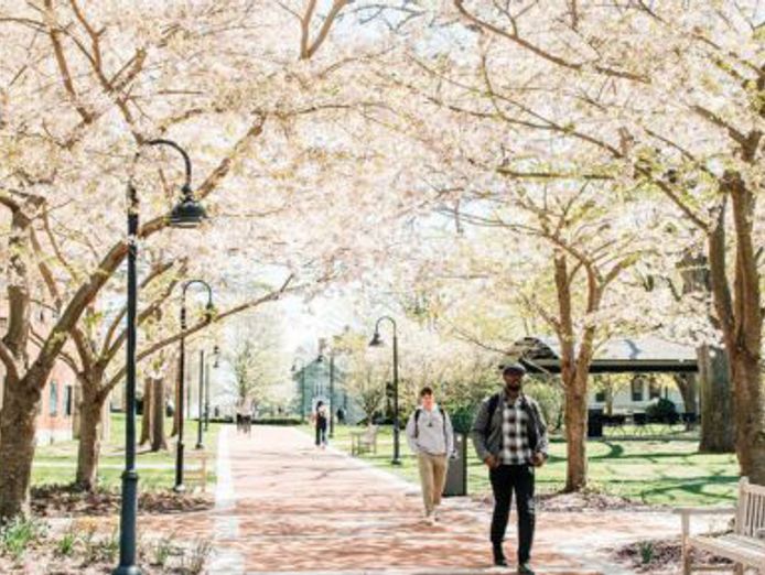 leasehold-available-for-ndis-or-srs-or-hostel-operator-njacs97-0