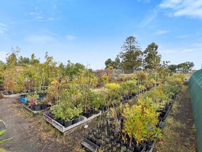 multiflora-nursery-colac-iwr2646-8