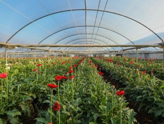 western-victoria-agricultural-farm-land-and-infrastructure-iwf2401-7
