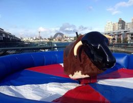 Mechanical Bull Hire Business for Sale
