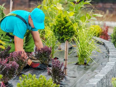 high-earning-garden-amp-building-supplies-business-30k-weekly-takings-includ-0