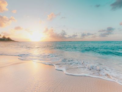 beachfront-caf-201-for-sale-mornington-peninsula-2605292d-1