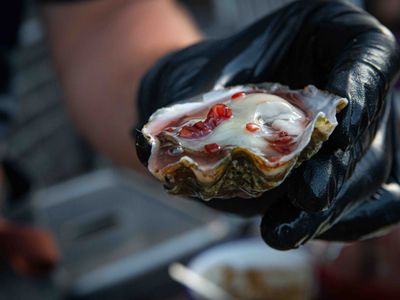 fresh-seafood-near-local-heidelberg-sc-great-potential-easy-to-run-2303232-1