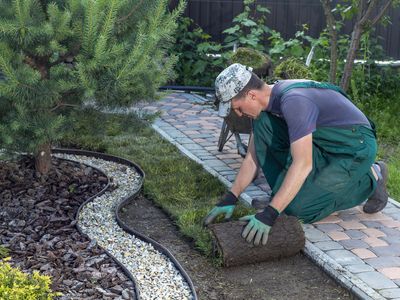 high-earning-garden-amp-building-supplies-business-30k-weekly-takings-includ-2