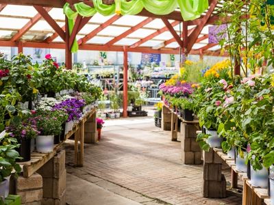 unique-nursery-business-for-sale-2405051-2