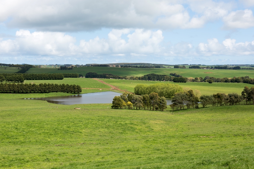 Veggie Farm for Sale in Tooradin [2106232] in Tooradin VIC, 3980 SEEK