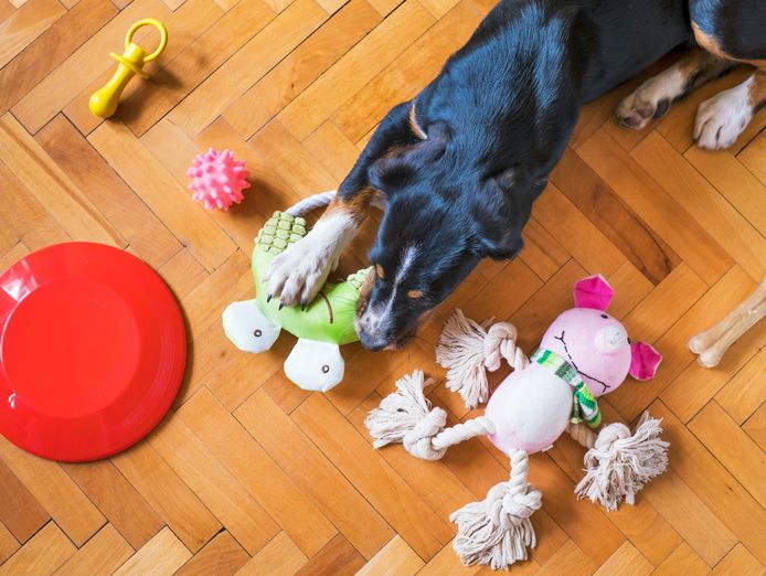 30-year-established-niche-pet-industry-leader-high-yield-amp-exclusive-brands-2-0