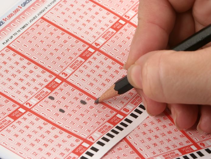 lotto-gifts-shop-south-east-melbourne-fully-staff-managed-2610211-0