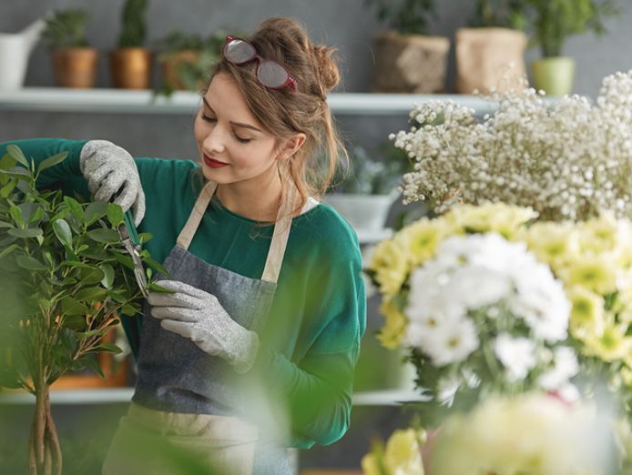 popular-fruit-amp-veg-shop-near-boxhill-cheap-rent-2410301-3
