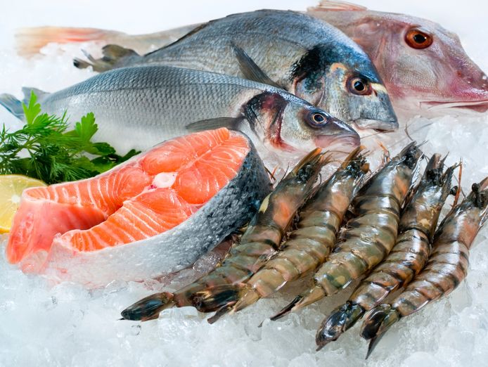seafood-retail-business-heidelberg-2609251-1